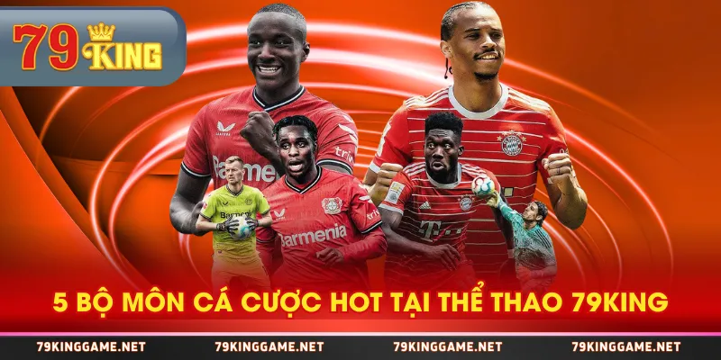 5 bộ môn cá cược hot tại thể thao 79KING 5 bộ môn cá cược hot tại thể thao 79KING