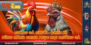 Giống Gà Chuối - Chiến Kê Dũng Mãnh Chinh Phục Mọi Trường Gà